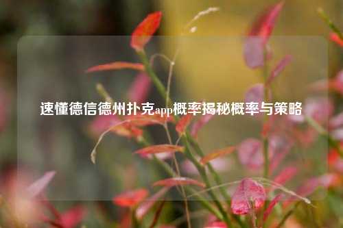 速懂德信德州扑克app概率揭秘概率与策略