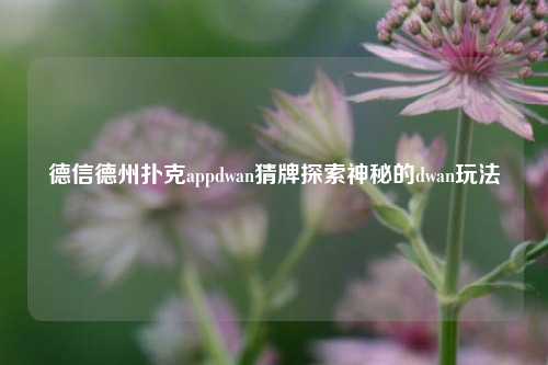 德信德州扑克appdwan猜牌探索神秘的dwan玩法