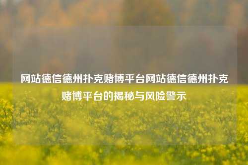 网站德信德州扑克赌博平台网站德信德州扑克赌博平台的揭秘与风险警示