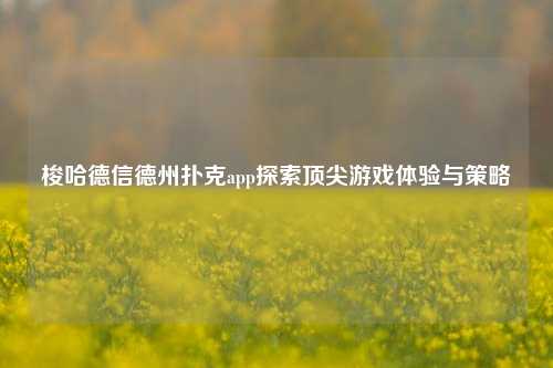 梭哈德信德州扑克app探索顶尖游戏体验与策略
