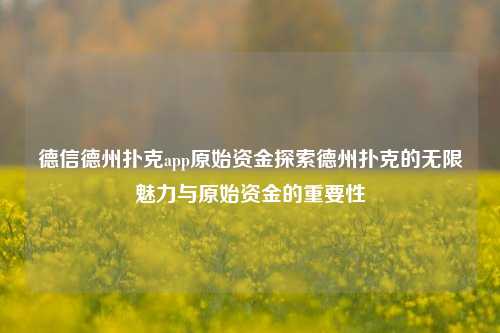 德信德州扑克app原始资金探索德州扑克的无限魅力与原始资金的重要性