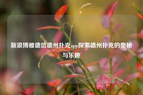 新浪博雅德信德州扑克app探索德州扑克的奥秘与乐趣