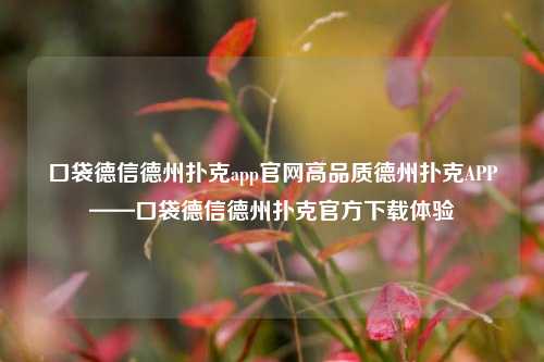 口袋德信德州扑克app官网高品质德州扑克APP——口袋德信德州扑克官方下载体验