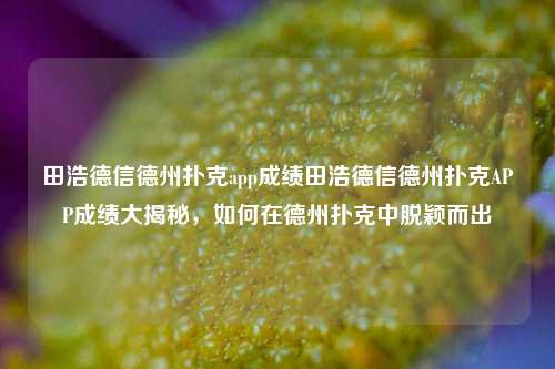 田浩德信德州扑克app成绩田浩德信德州扑克APP成绩大揭秘，如何在德州扑克中脱颖而出