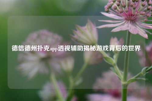 德信德州扑克app透视辅助揭秘游戏背后的世界