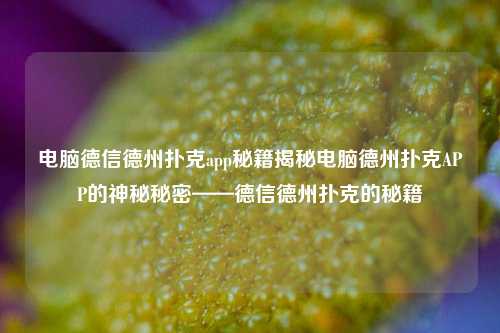 电脑德信德州扑克app秘籍揭秘电脑德州扑克APP的神秘秘密——德信德州扑克的秘籍
