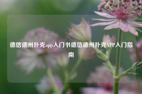 德信德州扑克app入门书德信德州扑克APP入门指南