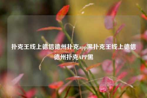 扑克王线上德信德州扑克app黑扑克王线上德信德州扑克APP黑