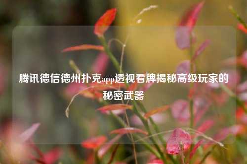 腾讯德信德州扑克app透视看牌揭秘高级玩家的秘密武器