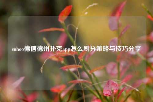 sohoo德信德州扑克app怎么刷分策略与技巧分享