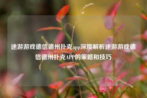 途游游戏德信德州扑克app深度解析途游游戏德信德州扑克APP的策略和技巧