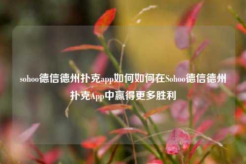 sohoo德信德州扑克app如何如何在Sohoo德信德州扑克App中赢得更多胜利