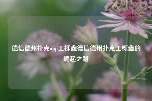 德信德州扑克app王栎鑫德信德州扑克王栎鑫的崛起之路
