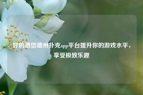 好的德信德州扑克app平台提升你的游戏水平，享受极致乐趣