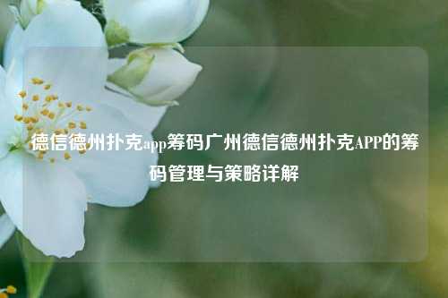 德信德州扑克app筹码广州德信德州扑克APP的筹码管理与策略详解