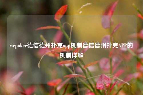 wepoker德信德州扑克app机制德信德州扑克APP的机制详解