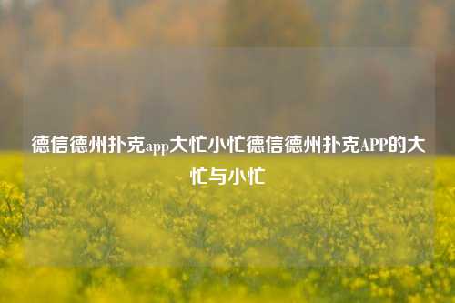 德信德州扑克app大忙小忙德信德州扑克APP的大忙与小忙