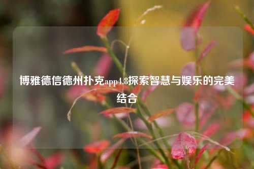 博雅德信德州扑克app4.8探索智慧与娱乐的完美结合