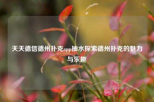 天天德信德州扑克app抽水探索德州扑克的魅力与乐趣