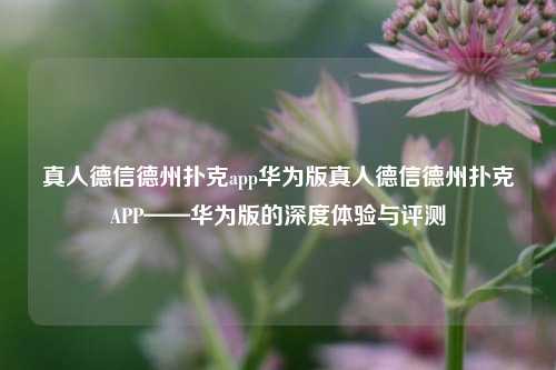 真人德信德州扑克app华为版真人德信德州扑克APP——华为版的深度体验与评测