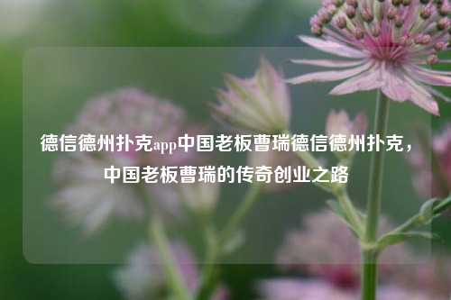 德信德州扑克app中国老板曹瑞德信德州扑克，中国老板曹瑞的传奇创业之路