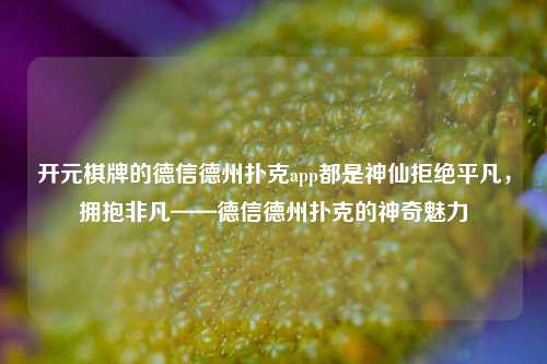 开元棋牌的德信德州扑克app都是神仙拒绝平凡，拥抱非凡——德信德州扑克的神奇魅力