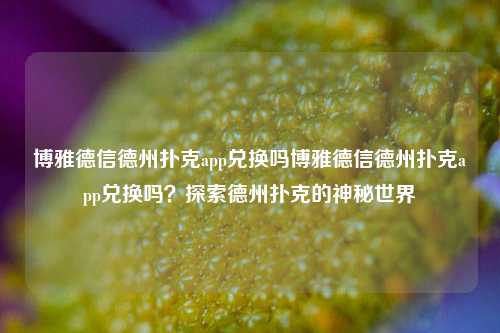 博雅德信德州扑克app兑换吗博雅德信德州扑克app兑换吗？探索德州扑克的神秘世界