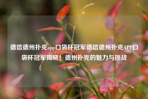 德信德州扑克app口袋杯冠军德信德州扑克APP口袋杯冠军揭晓！德州扑克的魅力与挑战