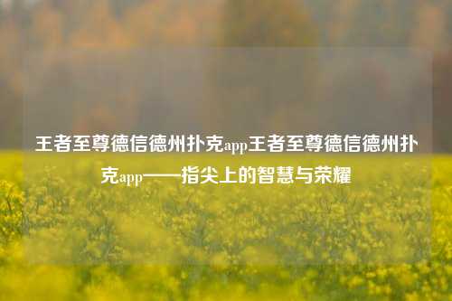 王者至尊德信德州扑克app王者至尊德信德州扑克app——指尖上的智慧与荣耀