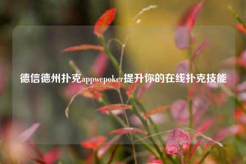 德信德州扑克appwepoker提升你的在线扑克技能