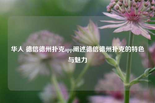 华人 德信德州扑克app阐述德信德州扑克的特色与魅力