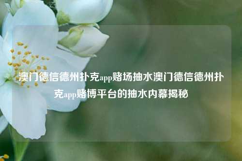 澳门德信德州扑克app赌场抽水澳门德信德州扑克app赌博平台的抽水内幕揭秘