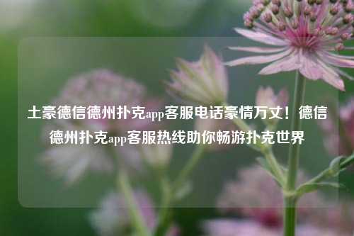 土豪德信德州扑克app客服电话豪情万丈！德信德州扑克app客服热线助你畅游扑克世界