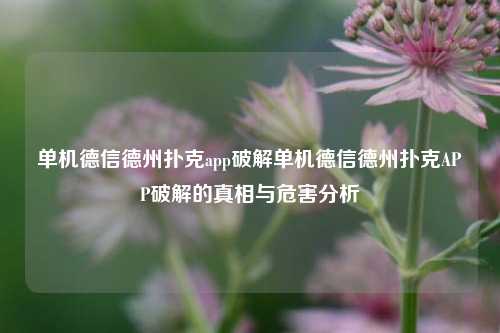 单机德信德州扑克app破解单机德信德州扑克APP破解的真相与危害分析