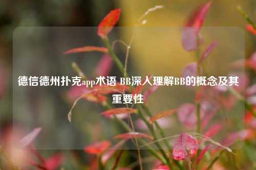 德信德州扑克app术语 BB深入理解BB的概念及其重要性
