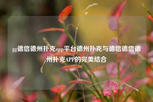 gg德信德州扑克app平台德州扑克与德信德信德州扑克APP的完美结合