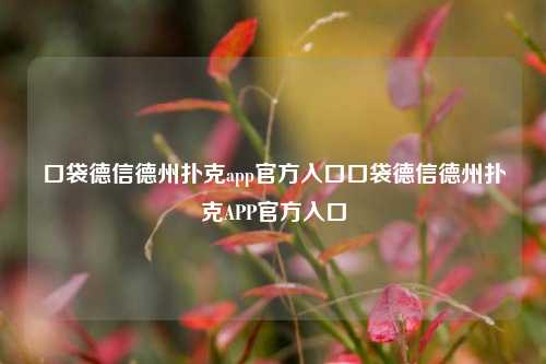 口袋德信德州扑克app官方入口口袋德信德州扑克APP官方入口