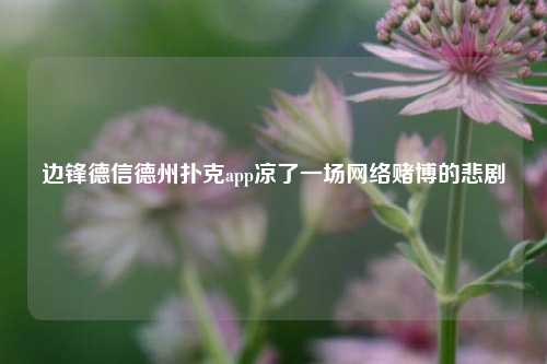 边锋德信德州扑克app凉了一场网络赌博的悲剧