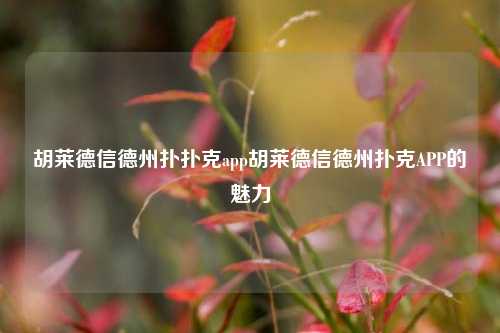 胡莱德信德州扑扑克app胡莱德信德州扑克APP的魅力