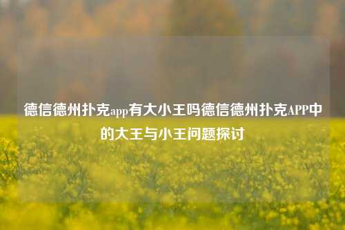 德信德州扑克app有大小王吗德信德州扑克APP中的大王与小王问题探讨