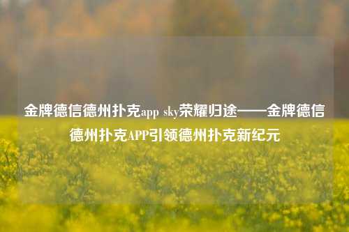 金牌德信德州扑克app sky荣耀归途——金牌德信德州扑克APP引领德州扑克新纪元