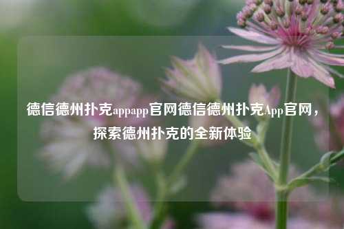 德信德州扑克appapp官网德信德州扑克App官网，探索德州扑克的全新体验