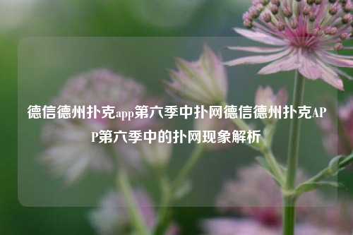 德信德州扑克app第六季中扑网德信德州扑克APP第六季中的扑网现象解析