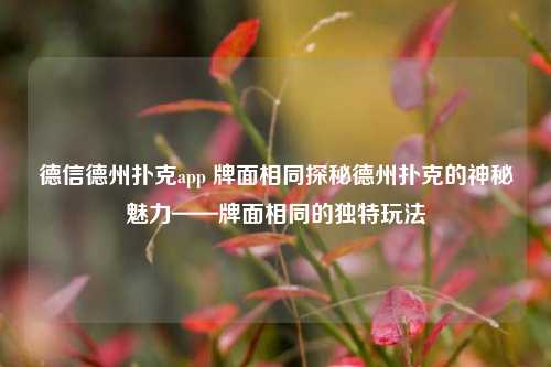 德信德州扑克app 牌面相同探秘德州扑克的神秘魅力——牌面相同的独特玩法