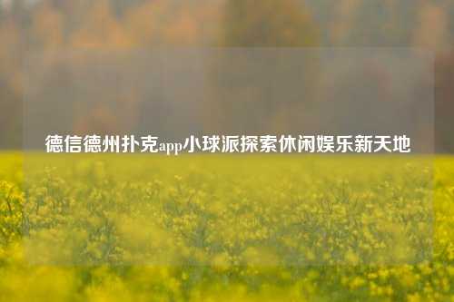 德信德州扑克app小球派探索休闲娱乐新天地