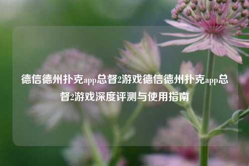 德信德州扑克app总督2游戏德信德州扑克app总督2游戏深度评测与使用指南