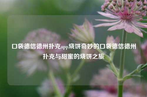口袋德信德州扑克app烧饼奇妙的口袋德信德州扑克与甜蜜的烧饼之旅