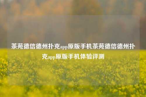茶苑德信德州扑克app原版手机茶苑德信德州扑克app原版手机体验评测