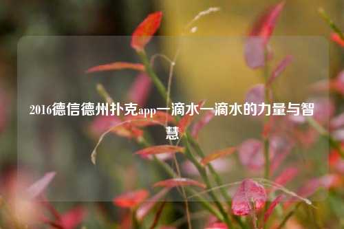 2016德信德州扑克app一滴水一滴水的力量与智慧