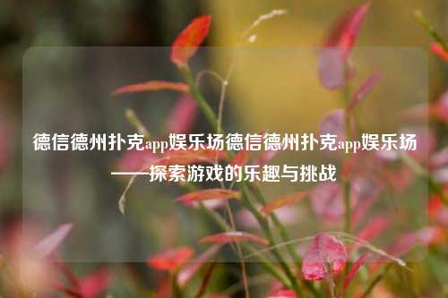 德信德州扑克app娱乐场德信德州扑克app娱乐场——探索游戏的乐趣与挑战